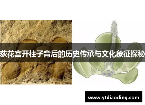 荻花宫开柱子背后的历史传承与文化象征探秘